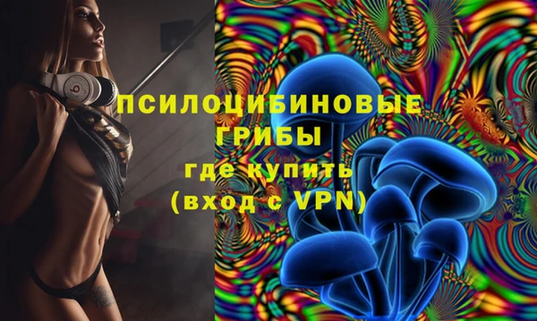 МДПВ Абаза