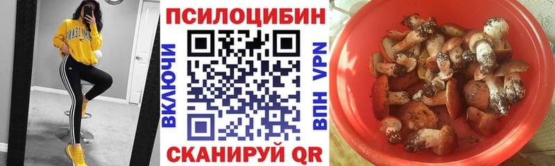 omg   Костомукша  Псилоцибиновые грибы Cubensis 