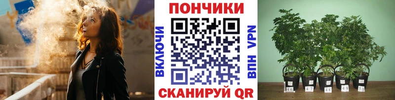 МАРИХУАНА Amnesia  нарко площадка Telegram  Костомукша  дарнет шоп 